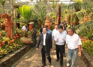 The Chinese delegation is given a tour of Nong Nooch Tropical Gardens.